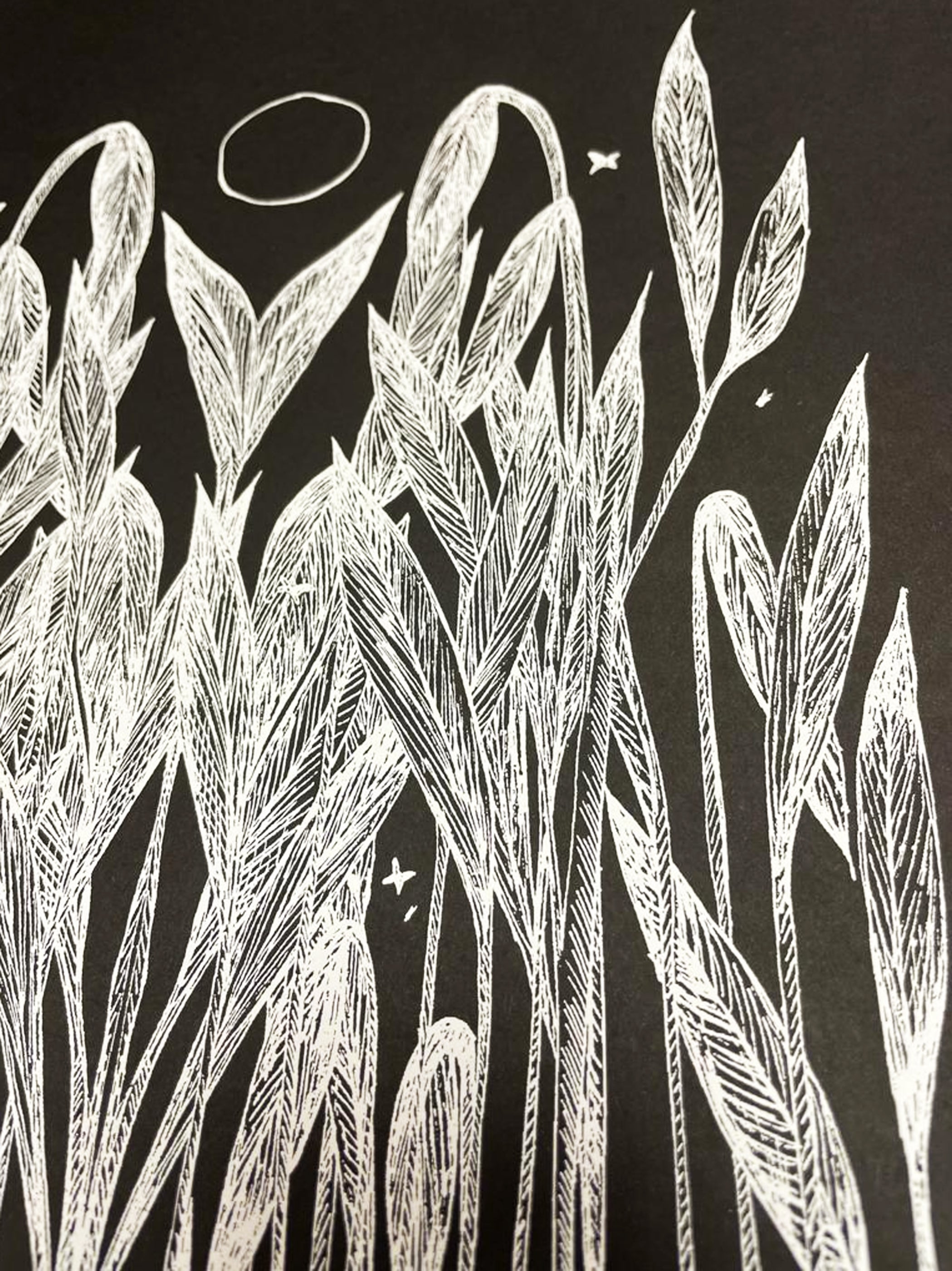 The Secret Reeds - Rachel Anna Davies Illustration - Haus Nostromo