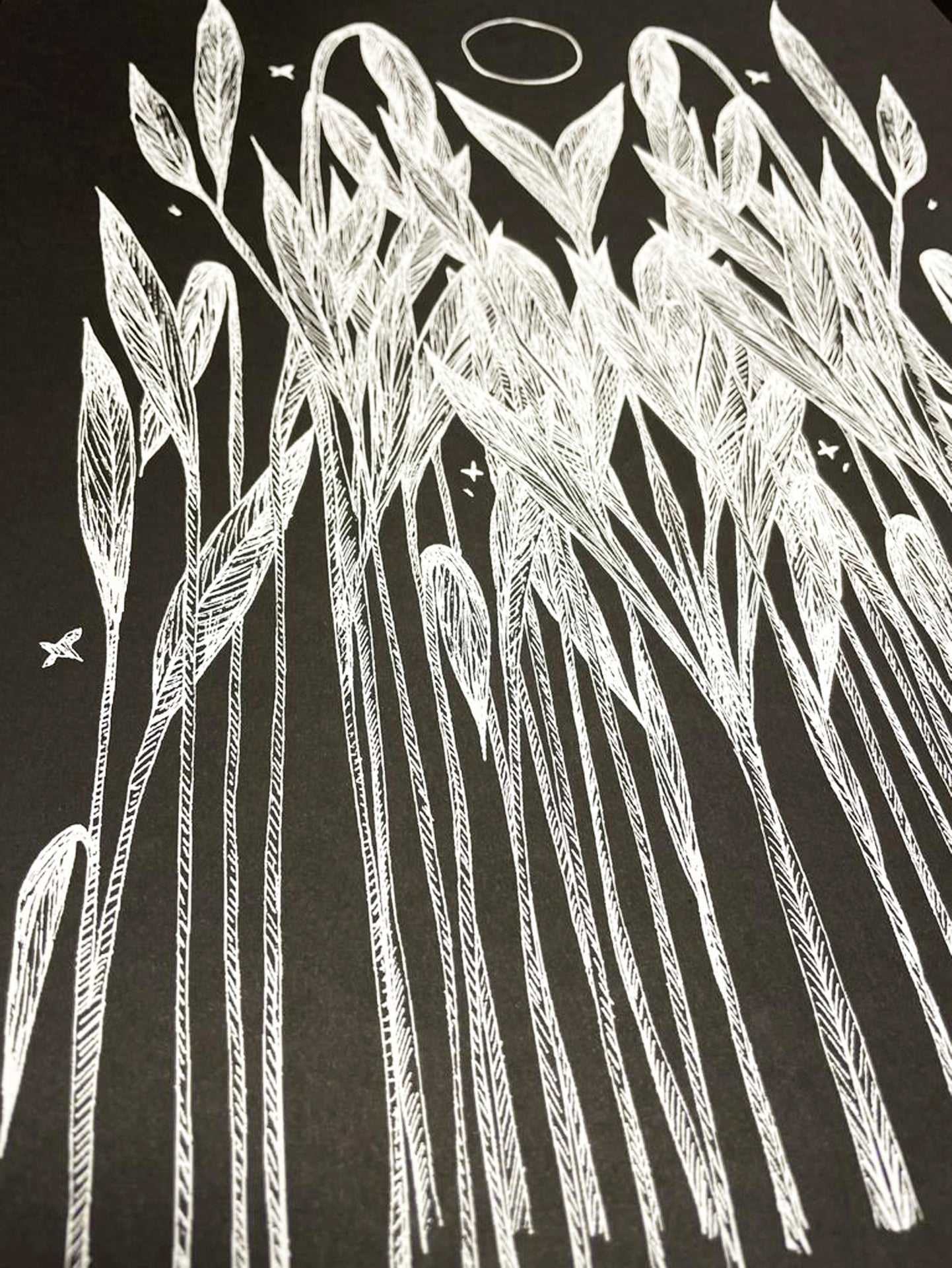 The Secret Reeds - Rachel Anna Davies Illustration - Haus Nostromo