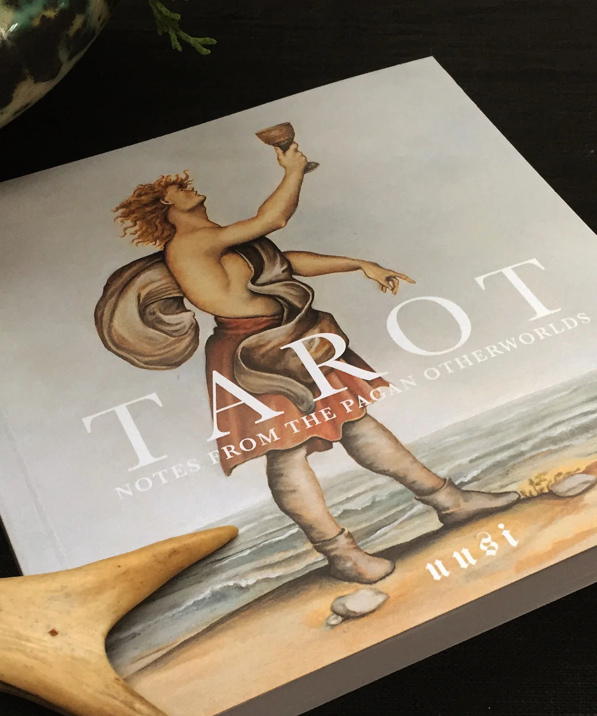 "Notes From The Pagan Otherworlds" Tarot Book - Uusi - Haus Nostromo