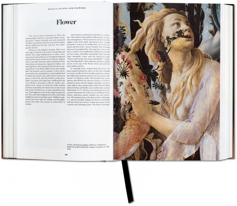 The Book of Symbols. Reflections on Archetypal Images - Taschen - Haus Nostromo