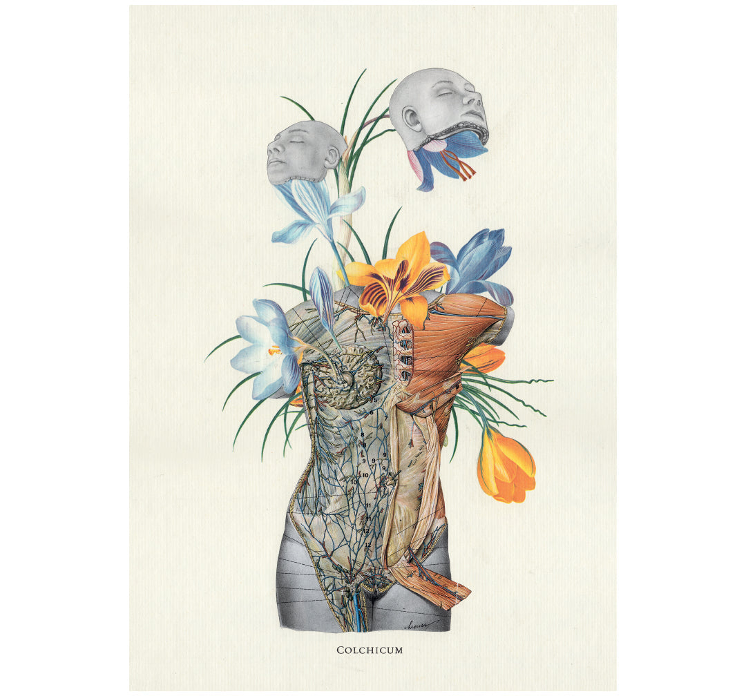 As The Flowers Grew, So Did The Loneliness Of The Heart Print - øjeRum - Haus Nostromo